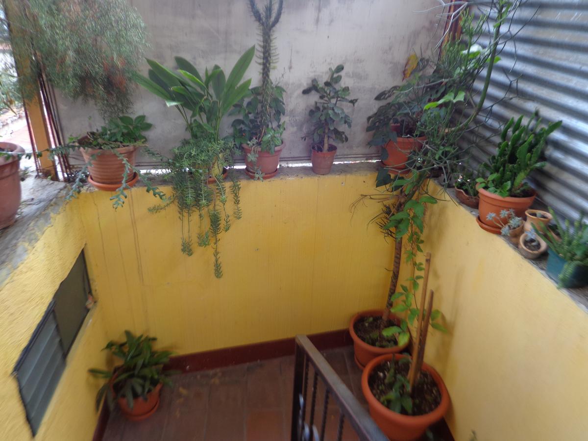 Hotel Encuentro Del Viajero Panajachel Eksteriør billede